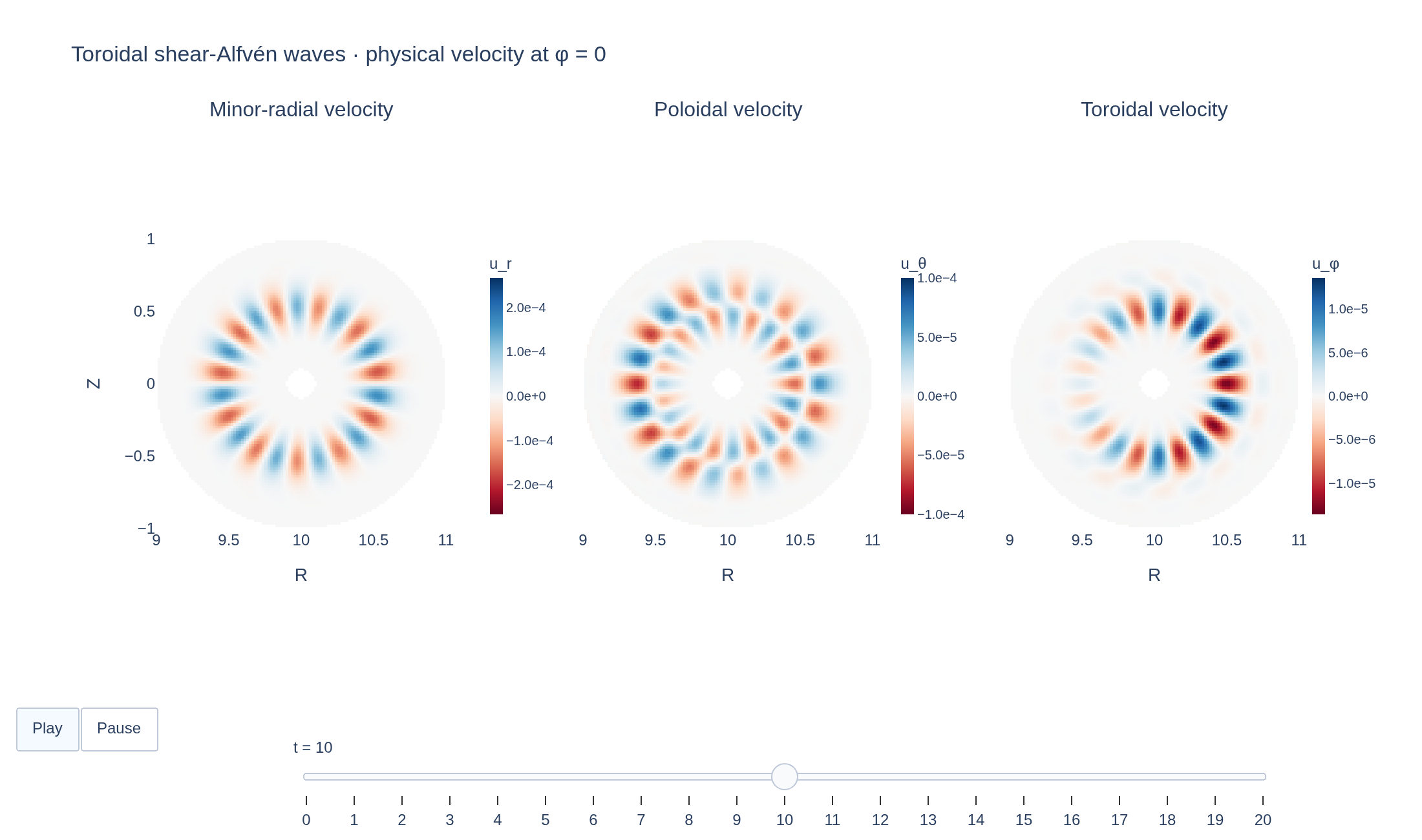 Animated minor-radial, poloidal and toroidal velocity in a hollow tokamak cross-section