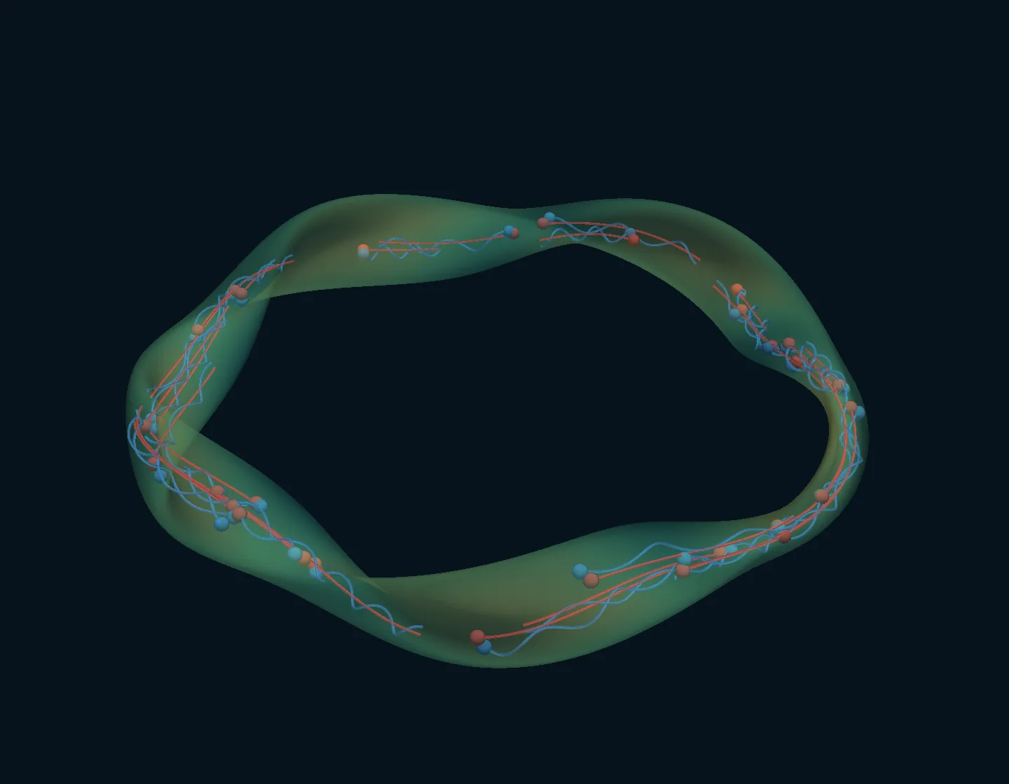 Stellarator: magnetic field lines on a flux surface coloured by field strength, computed with GVEC and Struphy